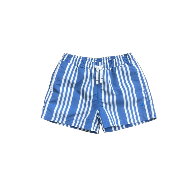 Stellar Column Stripe Swim Trunk