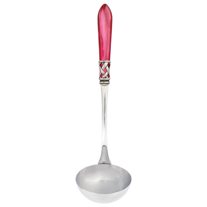 Aladdin Raspberry Soup Ladle