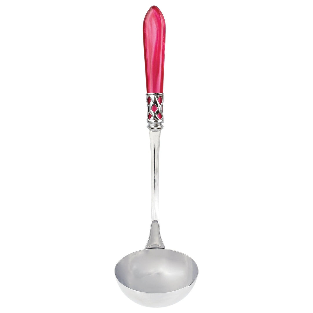 Aladdin Raspberry Soup Ladle