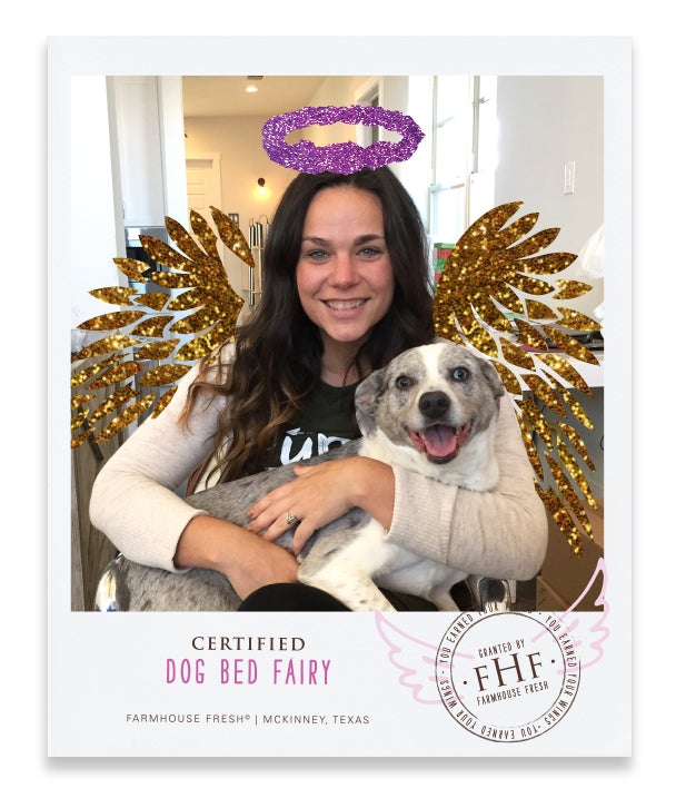 "Is it True, They Call You the Dog Bed Fairy?" Donation Book