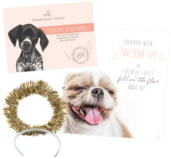 "Is it True, They Call You the Dog Bed Fairy?" Donation Book