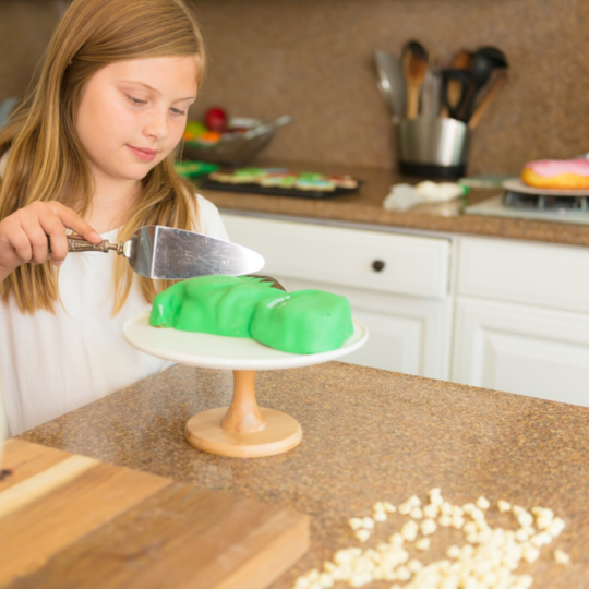Dinosaur Cake Making Set