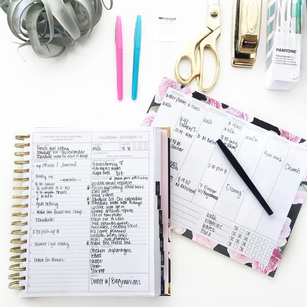 2020 Daily Purposeful Planner