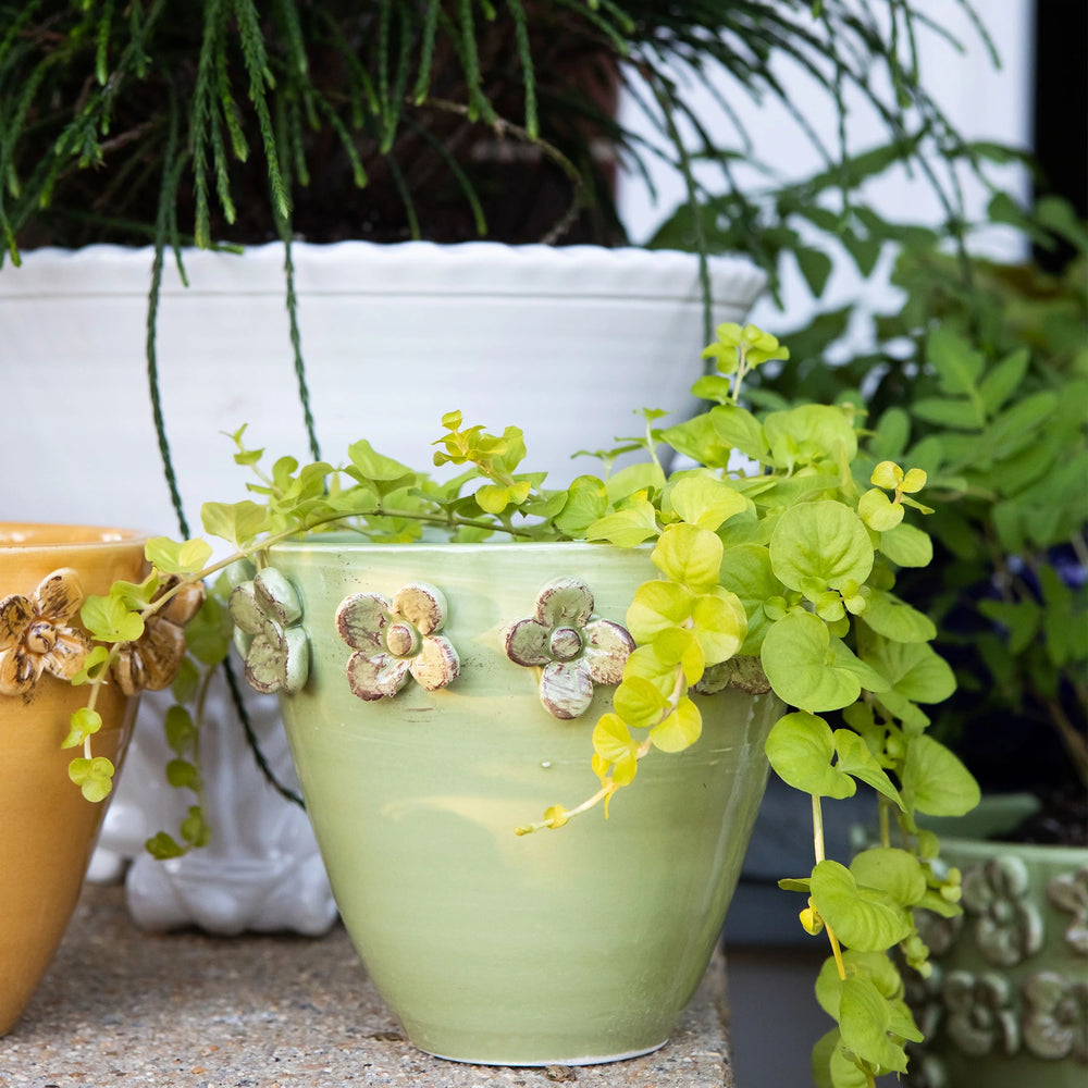 Rustic Garden Pistachio Small Cachepot
