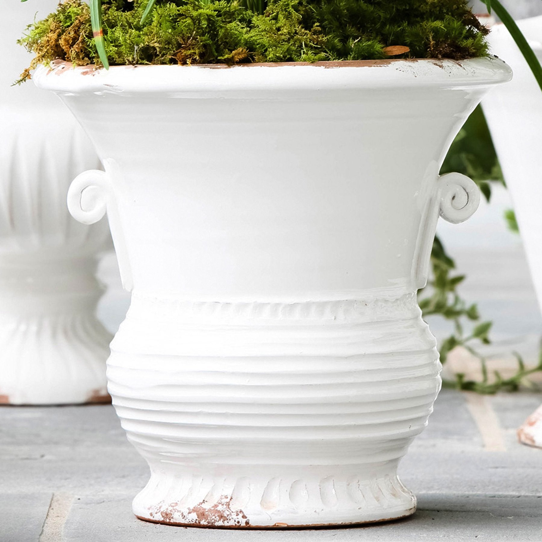 Rustic Garden White Medium Flair Planter