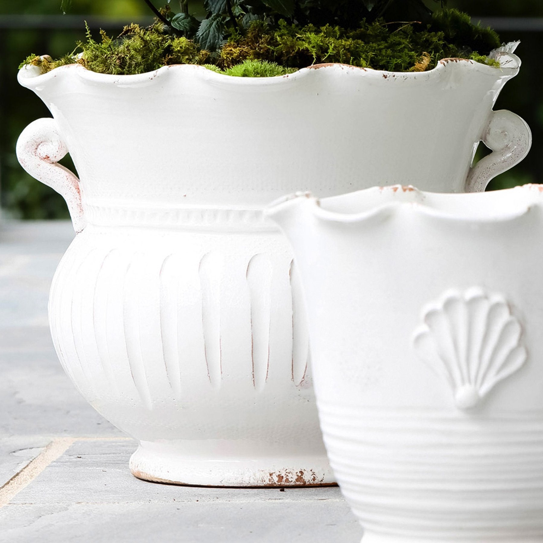 Rustic Garden White Large Scallop Planter 