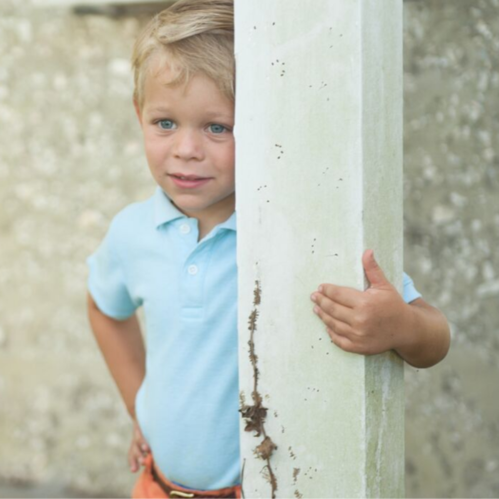 Blue Jay Short Sleeve Henry Polo
