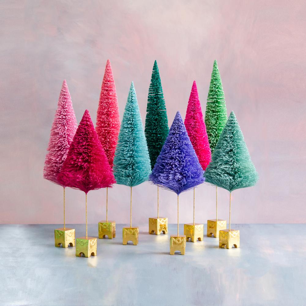 Colorful French Forest Trees