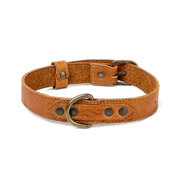 Campaign Leather Dog Collar