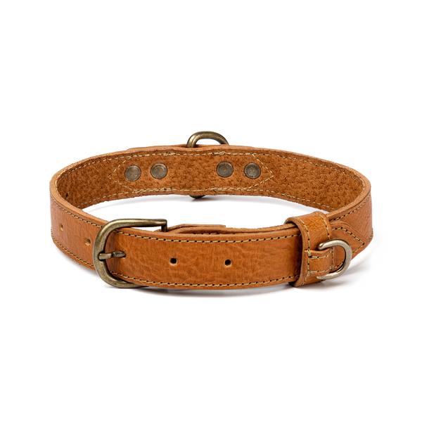 Campaign Leather Dog Collar