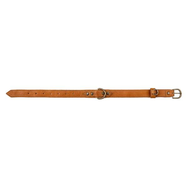 Campaign Leather Dog Collar