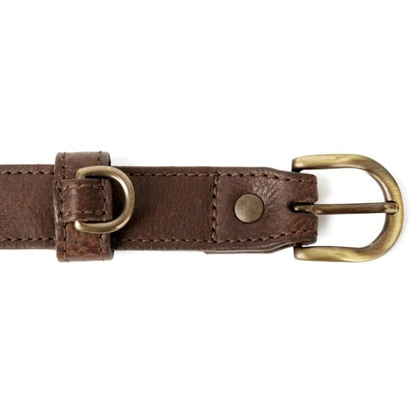 Campaign Leather Dog Collar