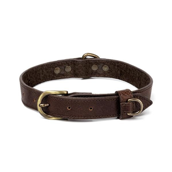 Campaign Leather Dog Collar