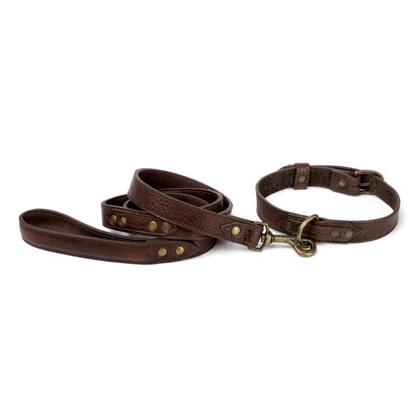 Campaign Leather Dog Leash