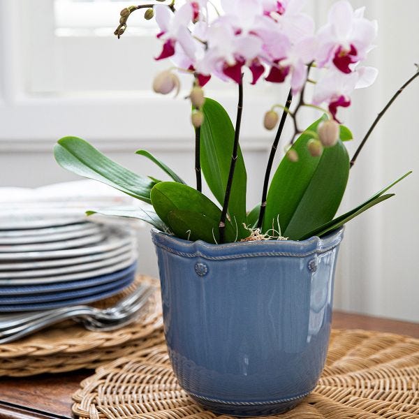 Berry & Thread Chambray 5" Planter & Saucer
