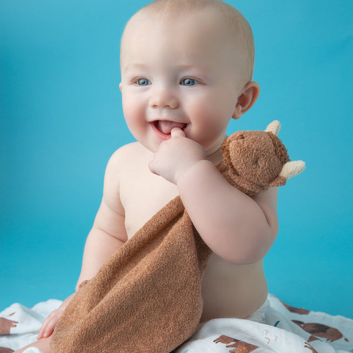 Brown Bison Blankie