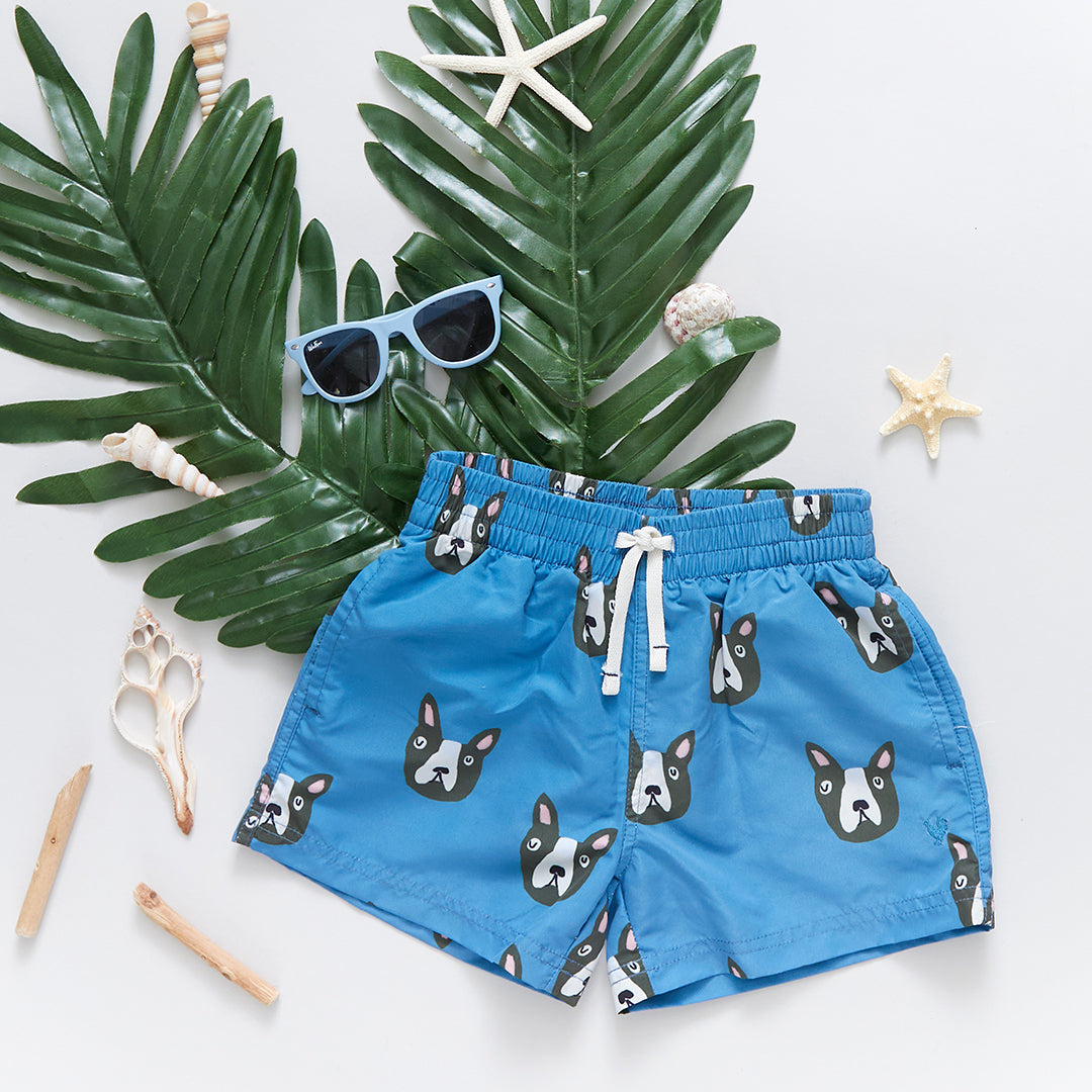 Baby & Boys Blue Boston Terrier Swim Trunk