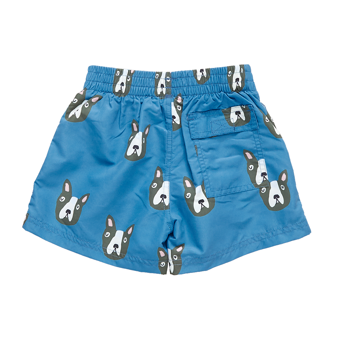 Baby & Boys Blue Boston Terrier Swim Trunk