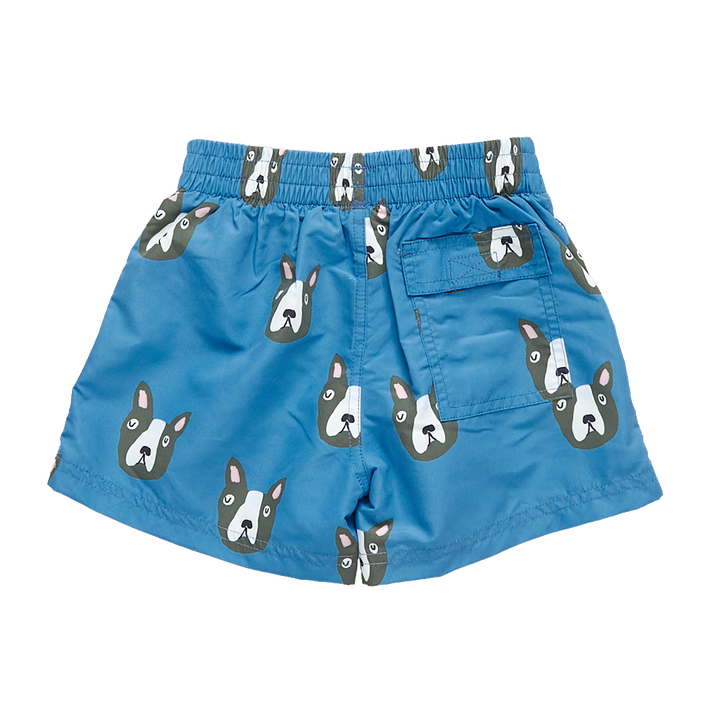 Baby & Boys Blue Boston Terrier Swim Trunk