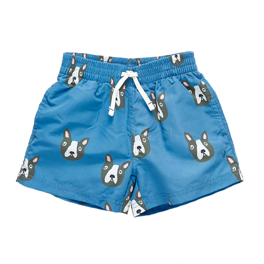 Baby & Boys Blue Boston Terrier Swim Trunk