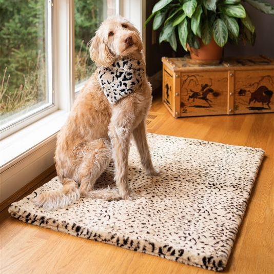 Cheetah Pampered Faux Fur Pet Throw