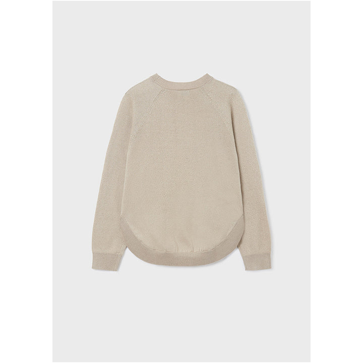 Ecofriends Cookie Sweater