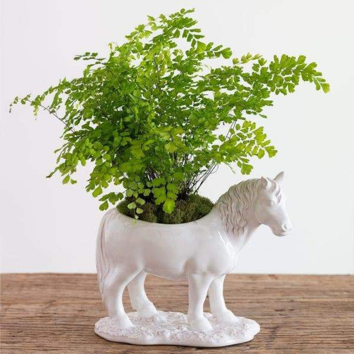 Clever Creatures Claude Horse Serving Bowl