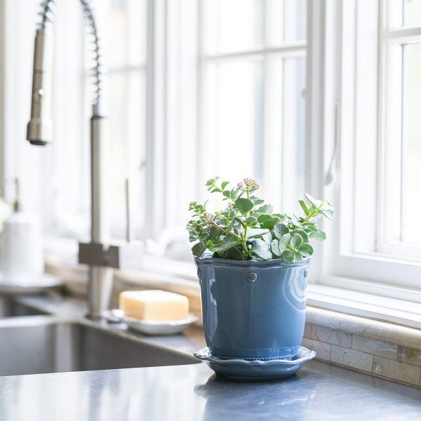 Berry & Thread Chambray 5" Planter & Saucer