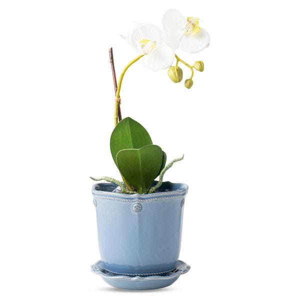 Berry & Thread Chambray 5" Planter & Saucer