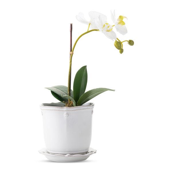 Berry & Thread Whitewash Planter & Saucer