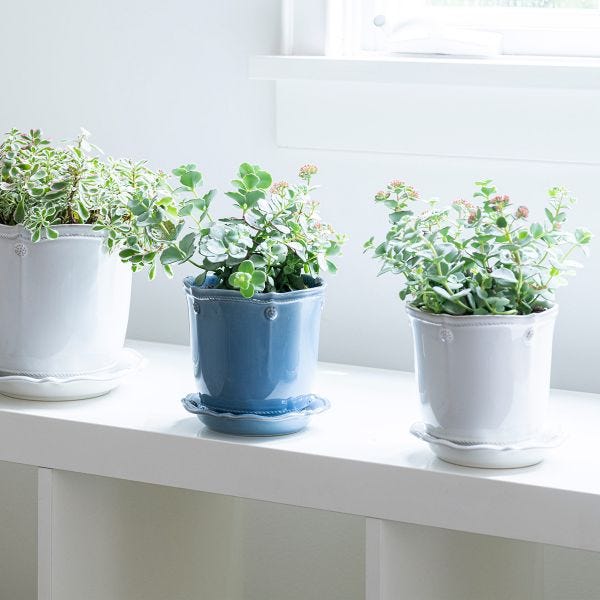 Berry & Thread Chambray 5" Planter & Saucer