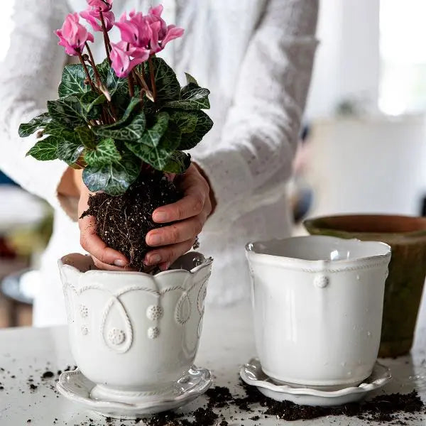Jardins du Monde 5" Planter - Whitewash