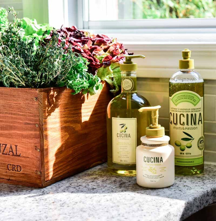 Cucina Dish Detergent - Coriander & Olive