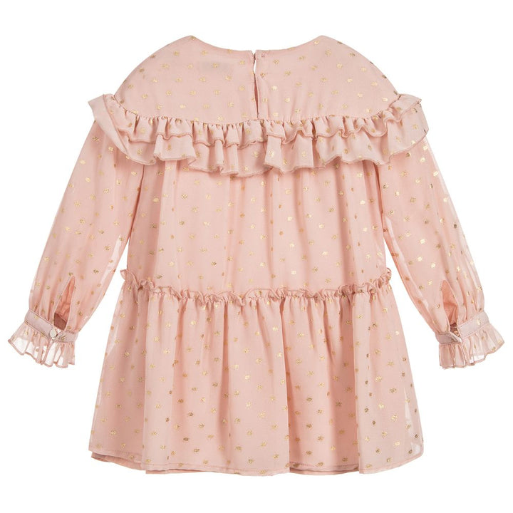 Blush & Metallic Chiffon Dress