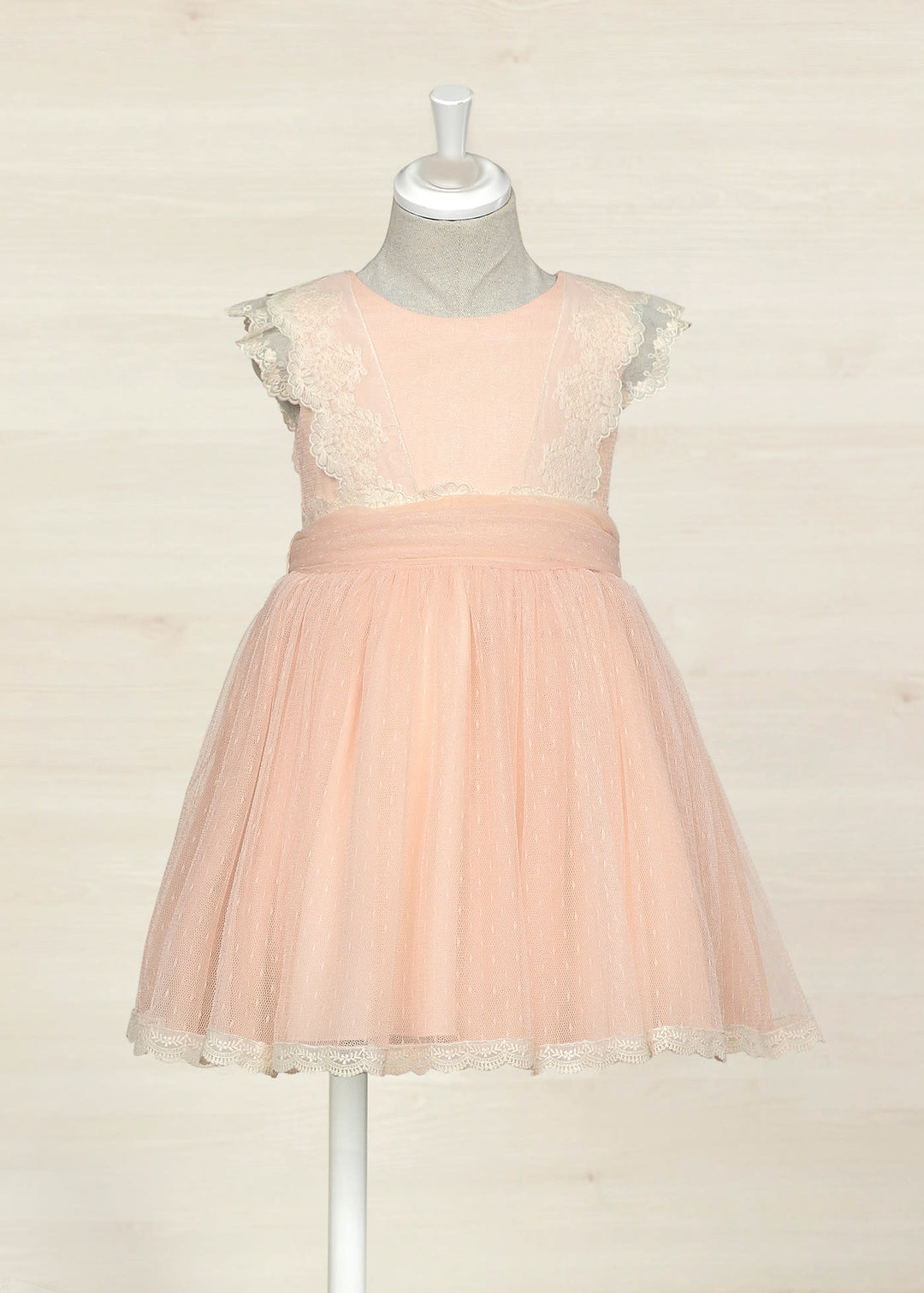 Nectar Tulle Plumeti Dress
