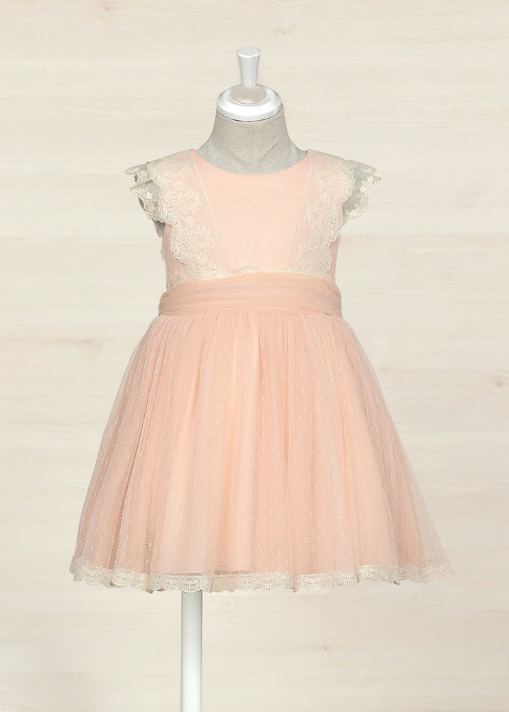 Nectar Tulle Plumeti Dress