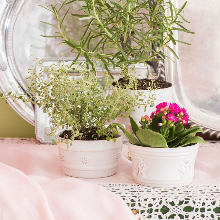 Berry & Thread Whitewash Ramekin