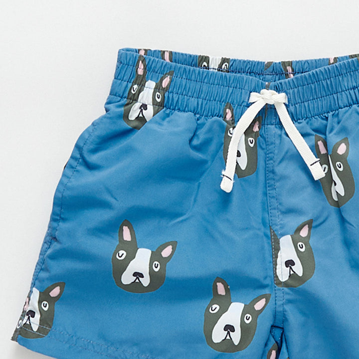 Baby & Boys Blue Boston Terrier Swim Trunk