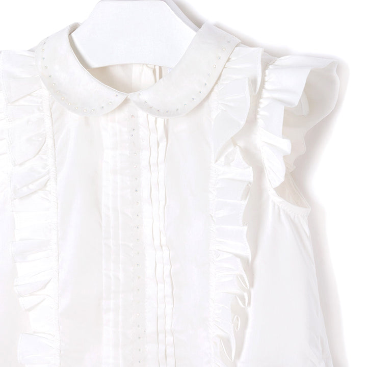 Flutter Sleeve Ruffle Blouse
